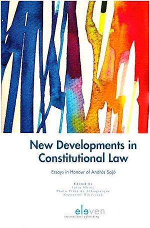 New Developments in Constitutional Law