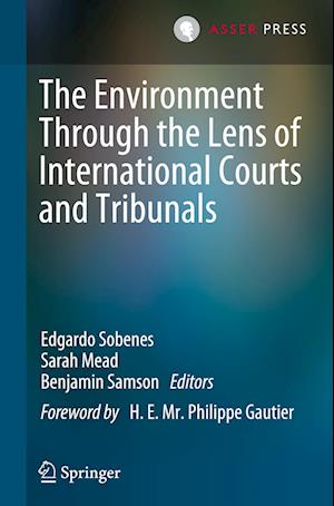 The Environment Through the Lens of International Courts and Tribunals
