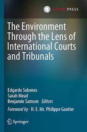 The Environment Through the Lens of International Courts and Tribunals