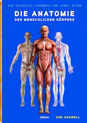 Die Anatomie des Menschlichen Körpers