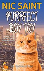 Purrfect Boy Toy 