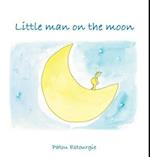 Little Man on the Moon