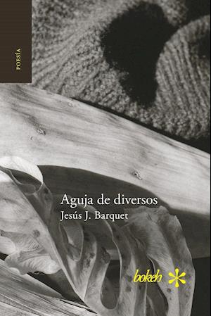 Aguja de Diversos