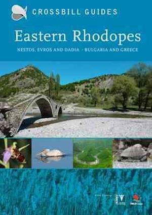 Eastern Rhodopes