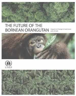 The Future of the Bornean Orangutan