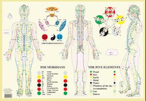 Meridians / Five Elements -- A2
