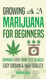 Growing Marijuana for Beginners