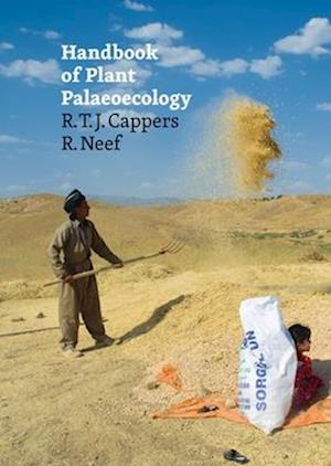 Handbook of Plant Palaeoecology