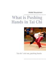 What is Pushing Hands in Tai Chi