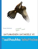 Satumainen satakieli VI Tuulihaukka lekuttelee