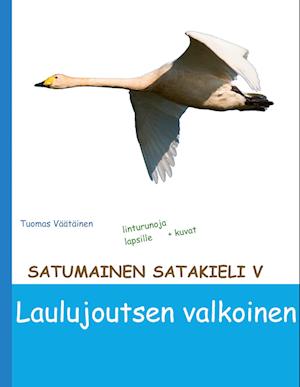 Satumainen satakieli V Laulujoutsen valkoinen