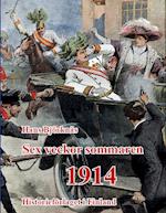 Sex veckor sommaren 1914