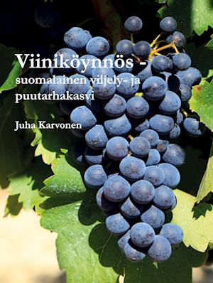 Viiniköynnös - suomalainen viljely- ja puutarhakasvi