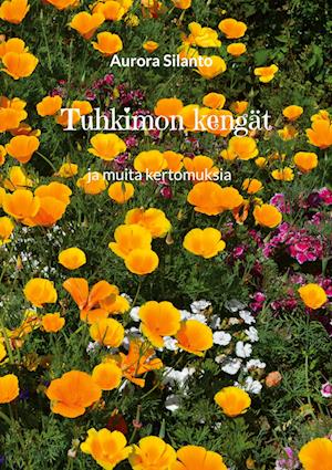 Tuhkimon kengät