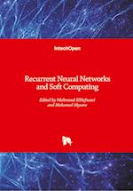 Recurrent Neural Networks and Soft Computing