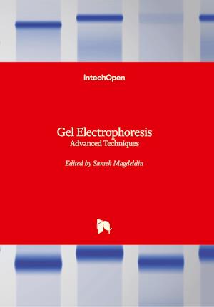 Gel Electrophoresis