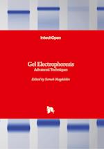 Gel Electrophoresis