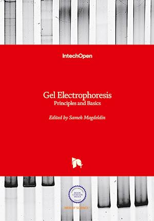 Gel Electrophoresis