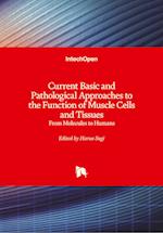 Current Basic and Pathological Approaches to the Function of Muscle Cells and Tissues