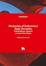 Mechanism of Sedimentary Basin Formation