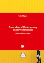 An Analysis of Contemporary Social Welfare Issues