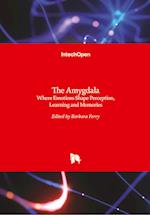 The Amygdala