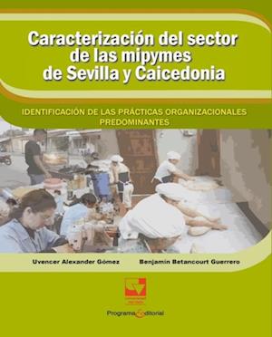 Caracterización del sector de las mipymes de Sevilla y Caicedonia: