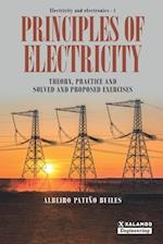 Principles of Electricity: Theory, practice and solved and proposed exercises 