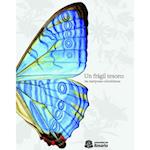 Un frágil tesoro: las mariposas colombianas