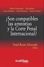 Son compatibles las amnistias y la Corte Penal Internacional?
