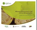 Manejo fitosanitario del cultivo de la guayaba (Psidium guajava, L) medidas para la temporada invernal