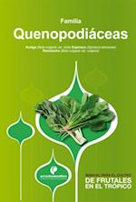 Manual para el cultivo de hortalizas. Familia Quenopodiáceas