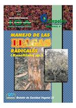 Manejo de las llagas radicales (Rosellinia sp.)