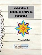 Adult coloring book mandala