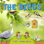 birds (Audio content)