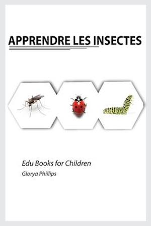 Apprendre les Insectes