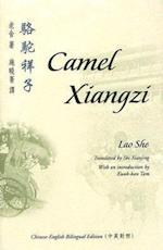 She, L:  Camel Xiangzi