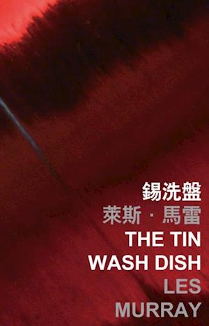 Tin Wash Dish