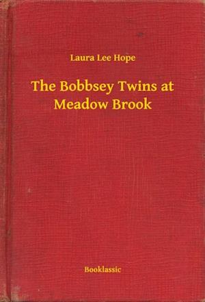 Bobbsey Twins at Meadow Brook