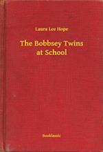 Bobbsey Twins at School