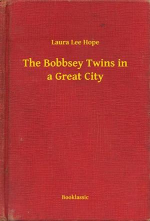 Bobbsey Twins in a Great City