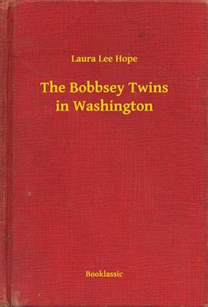 Bobbsey Twins in Washington