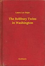 Bobbsey Twins in Washington