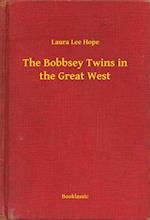 Bobbsey Twins in the Great West