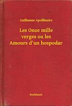 Les Onze mille verges ou les Amours d''un hospodar