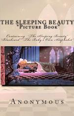 Sleeping Beauty Picture Book