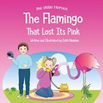 The Flamingo That Lost its Pink