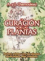 Curacion Por Las Plantas Medicinales, La