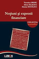 Notiuni Si Expresii Financiare