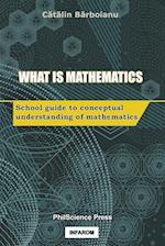 What is Mathematics